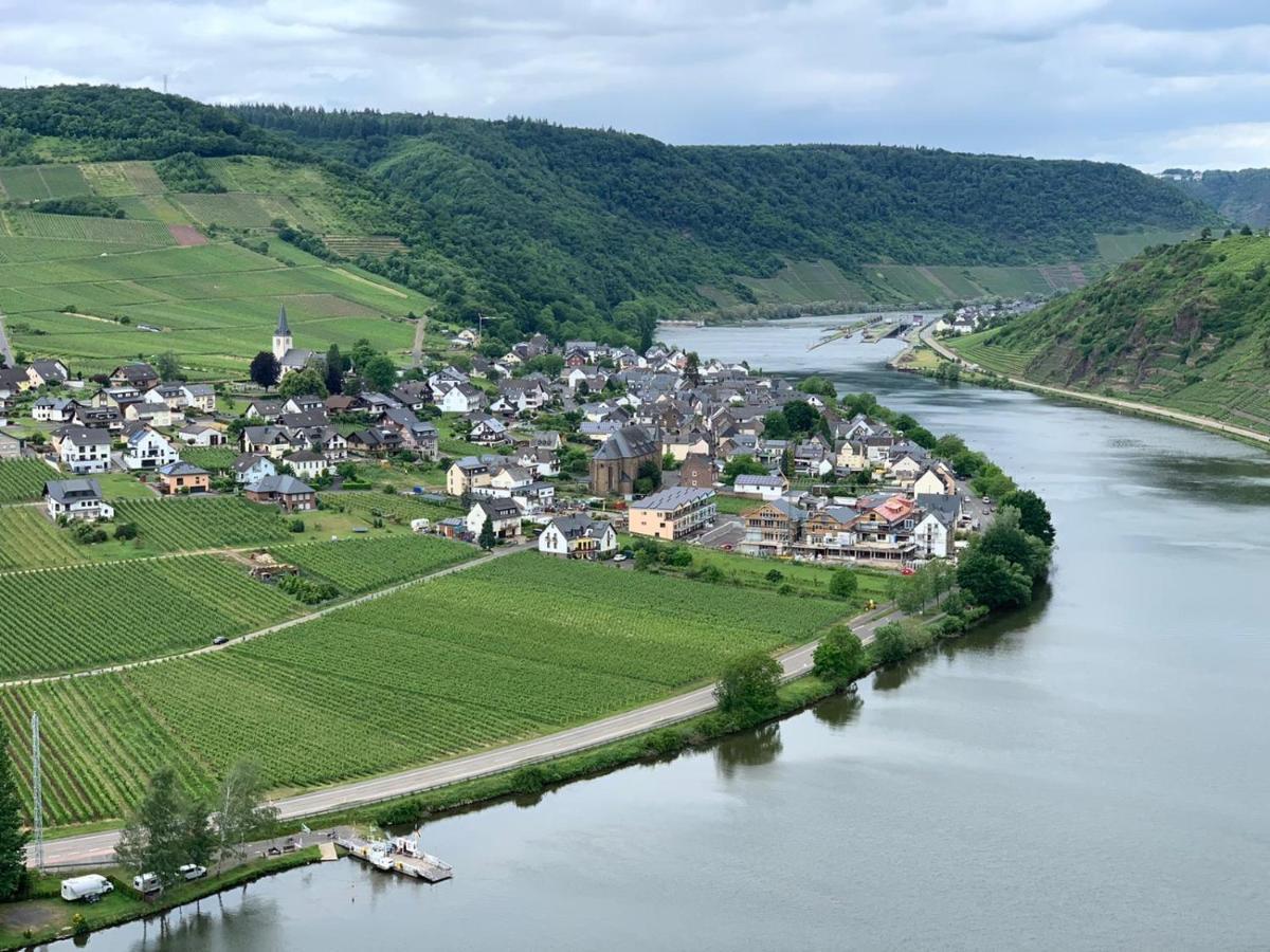 Weingut Im Moselkrampen Appartement Ellenz-Poltersdorf Buitenkant foto